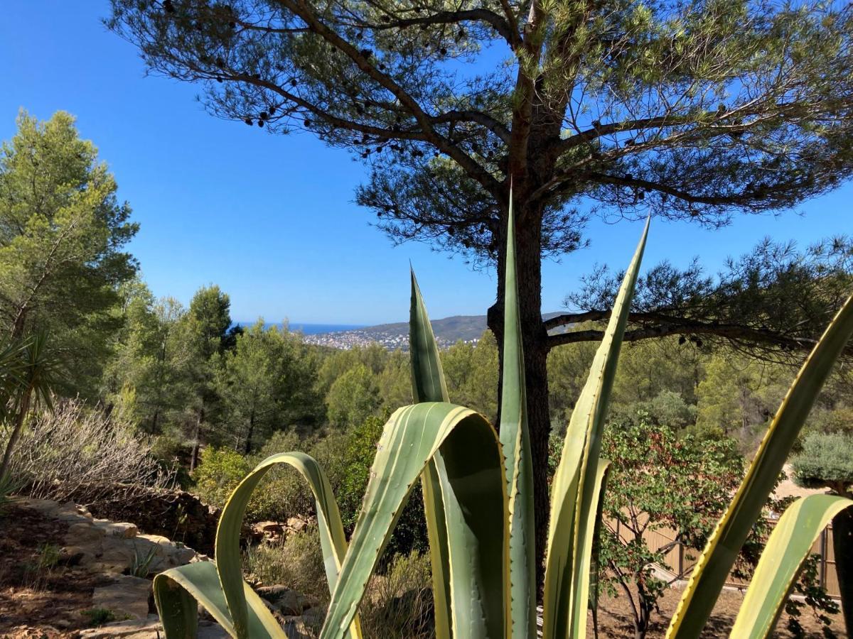 Villa Avec Jacuzzi Sur Les Hauteurs De La Ciotat Ceyreste ภายนอก รูปภาพ