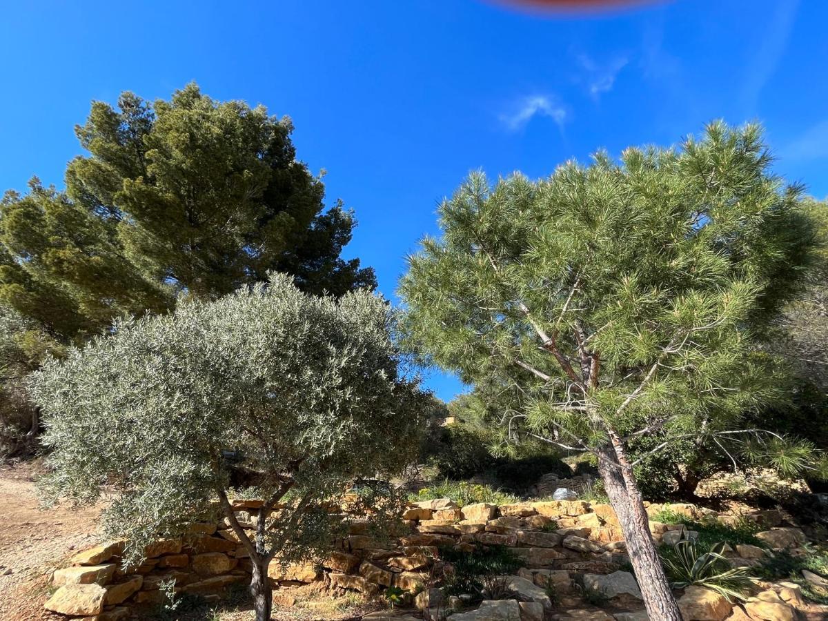 Villa Avec Jacuzzi Sur Les Hauteurs De La Ciotat Ceyreste ภายนอก รูปภาพ